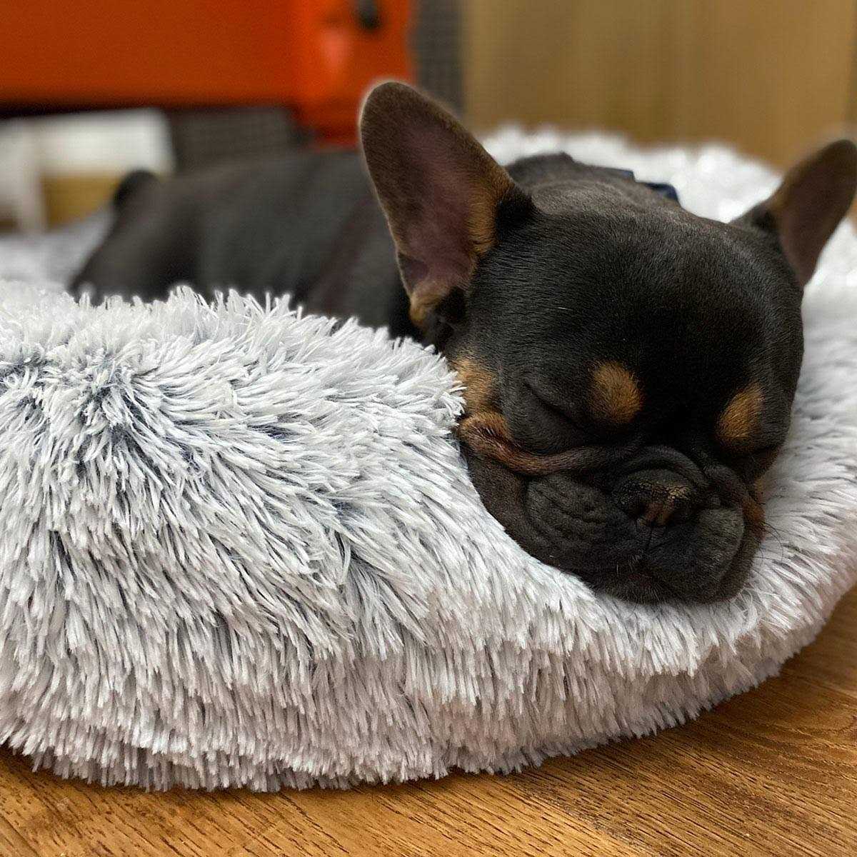 Cuddle Bed P45100