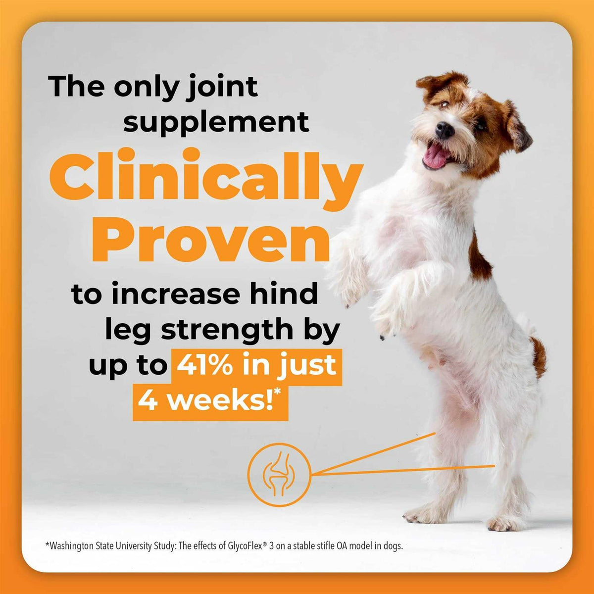 GlycoFlex Plus for Dogs D647733