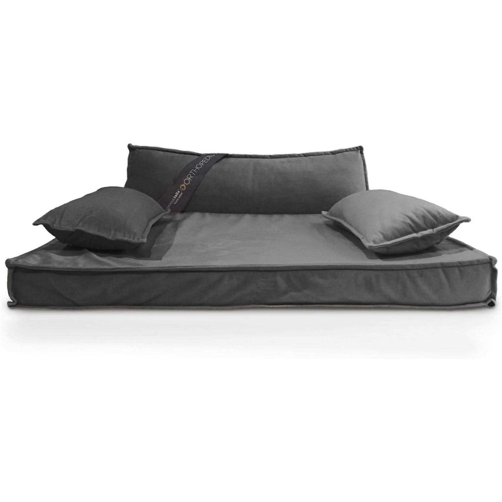Modern Pet Sofa Bed M5983