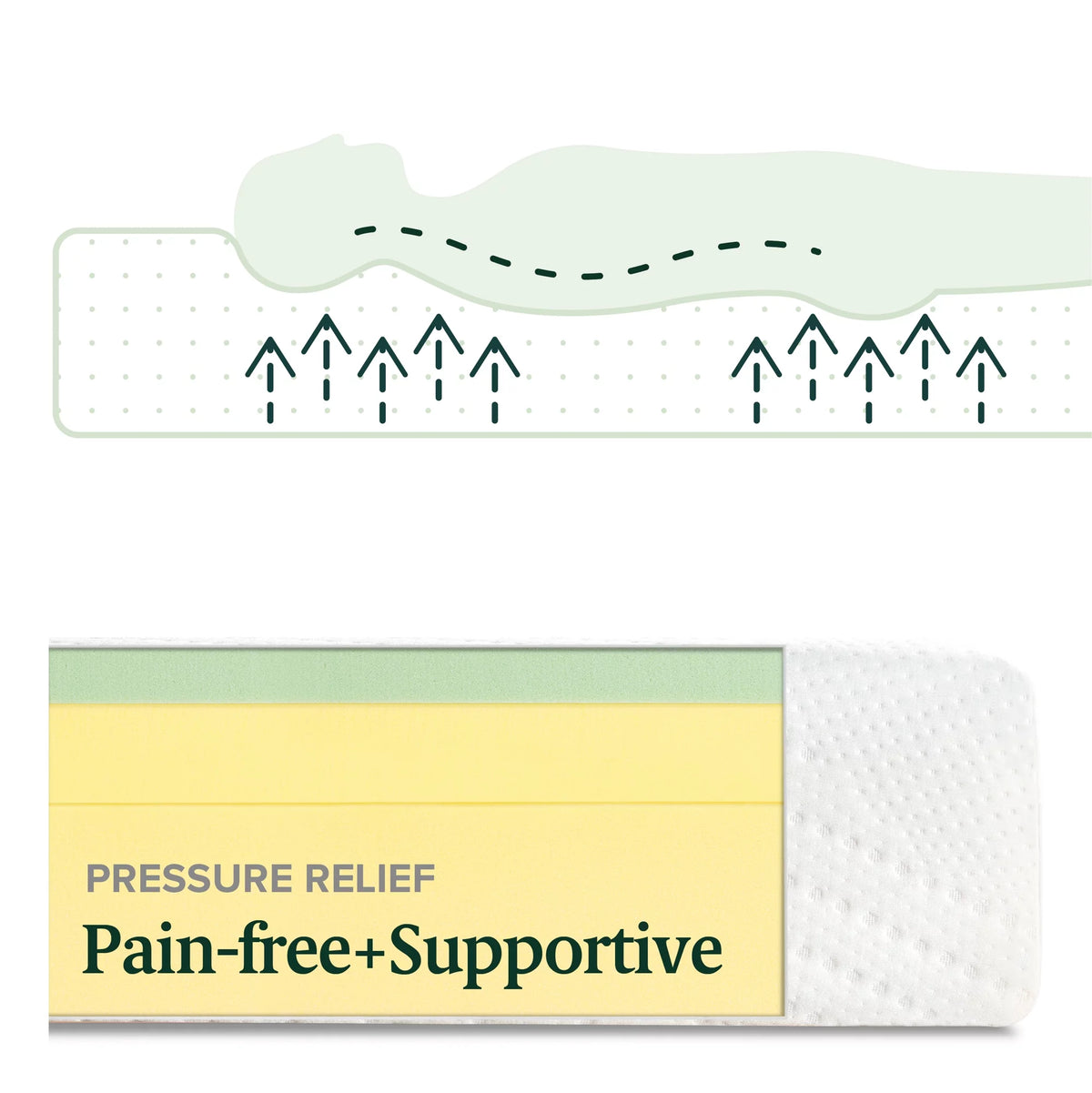 8 Green Tea Memory Foam Mattress Queen W7677