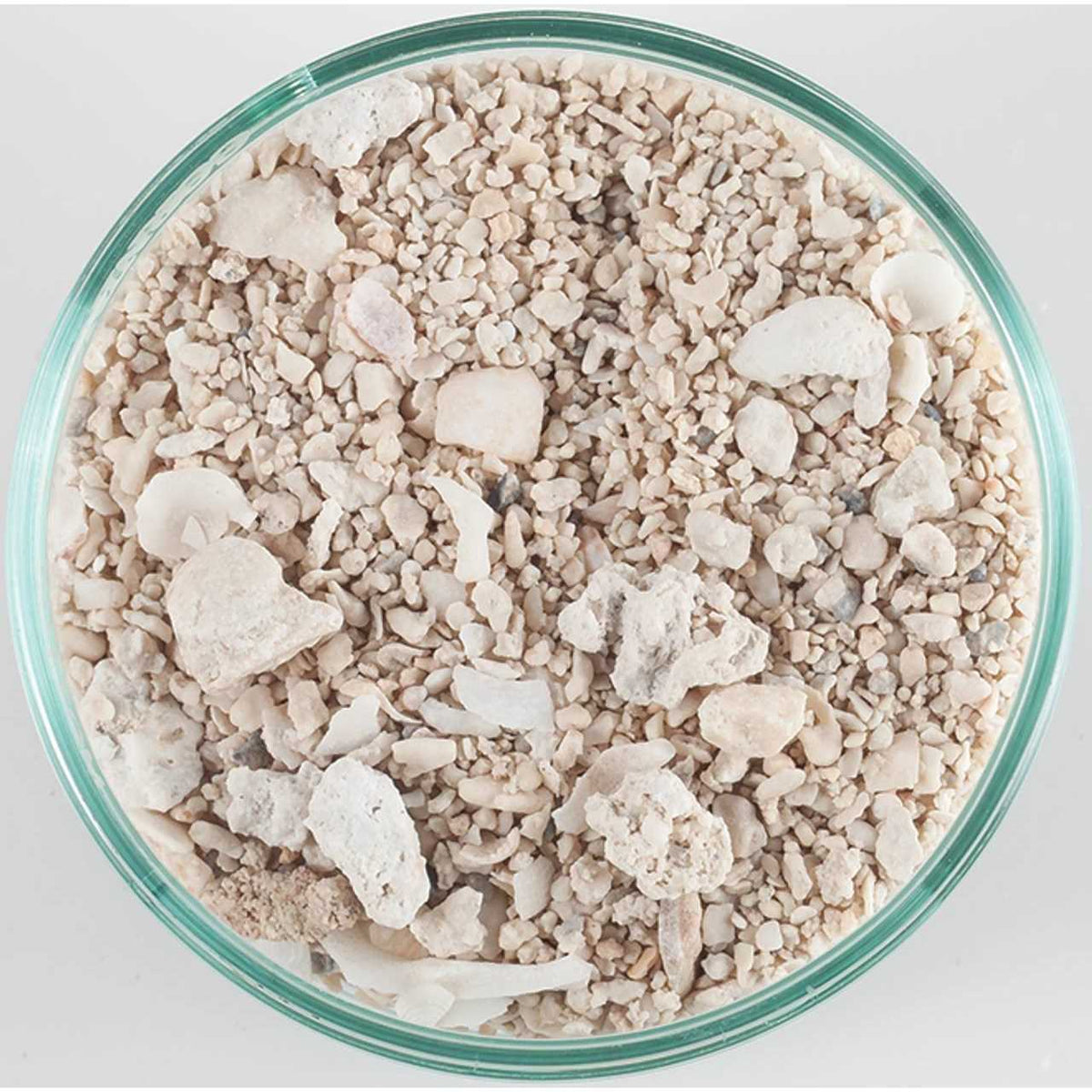 Dry Aragonite Reef Sand X592