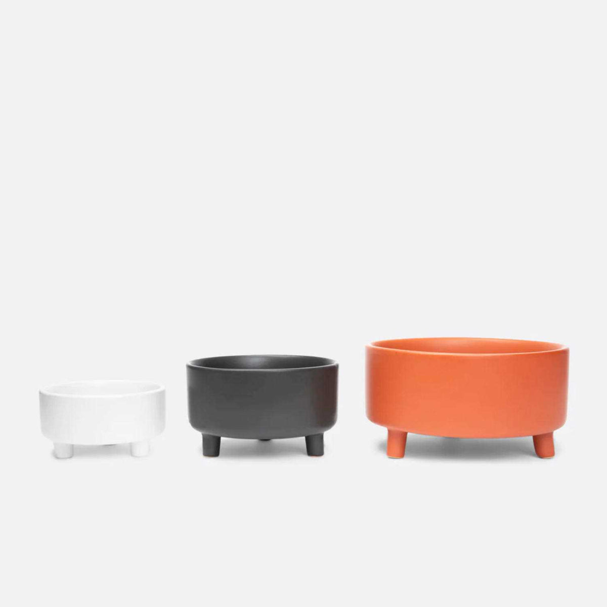 Ceramic Dog Bowl X82817