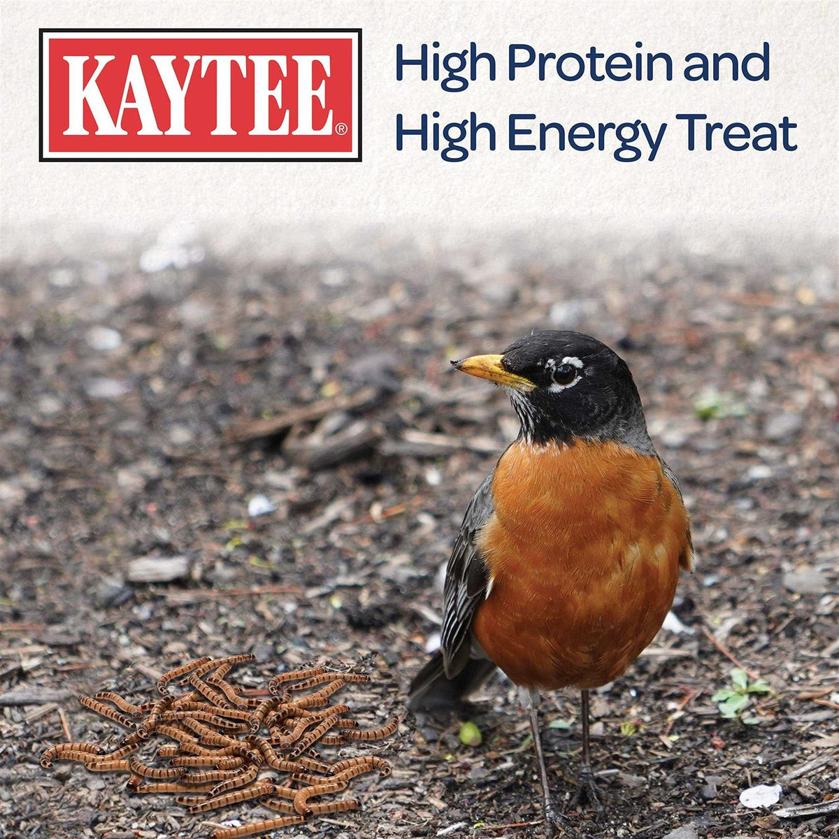 Mealworms Bird Food Z6660