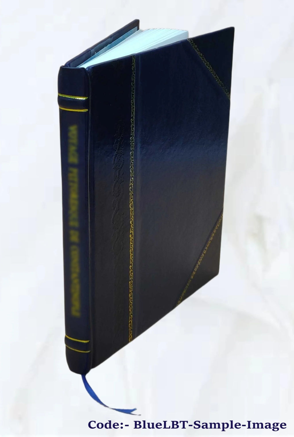Leather Bound Book G2989