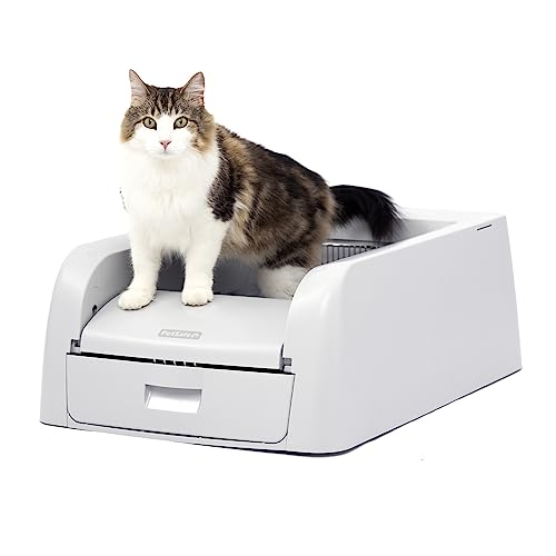 Self-Cleaning Litter Box for Clumping Litter J429