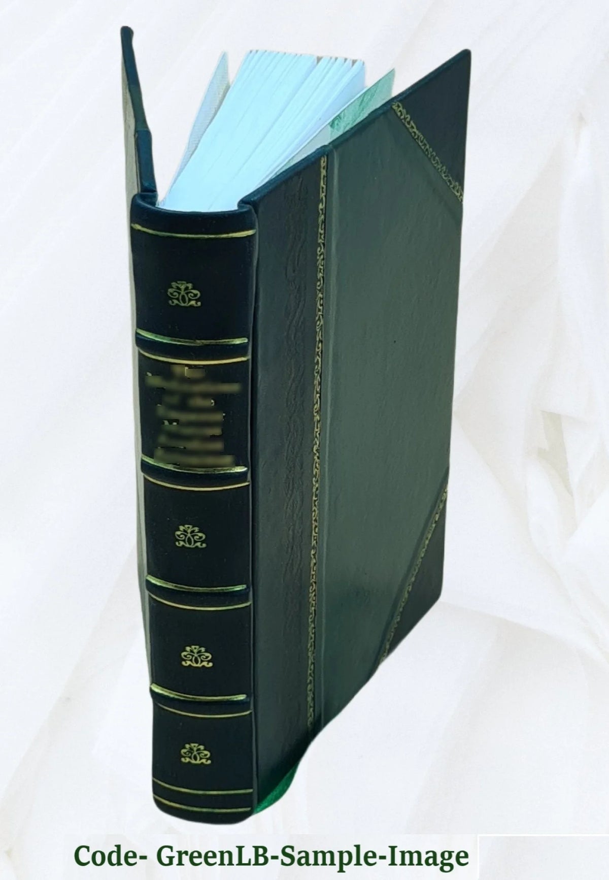 Leather Bound Book I5300
