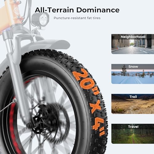Foldable Fat Tire Electric Bike with 48V 12.5Ah Removable Battery C177304