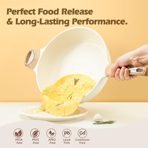 12 Inch Nonstick Deep Frying Pan with Lid Q2934
