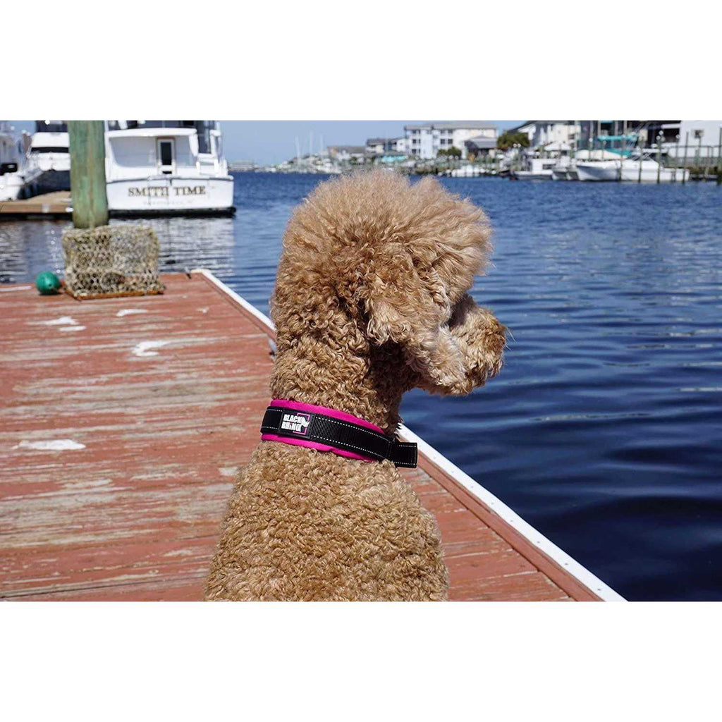 Ultra Soft Neoprene Padded Dog Collar J547972