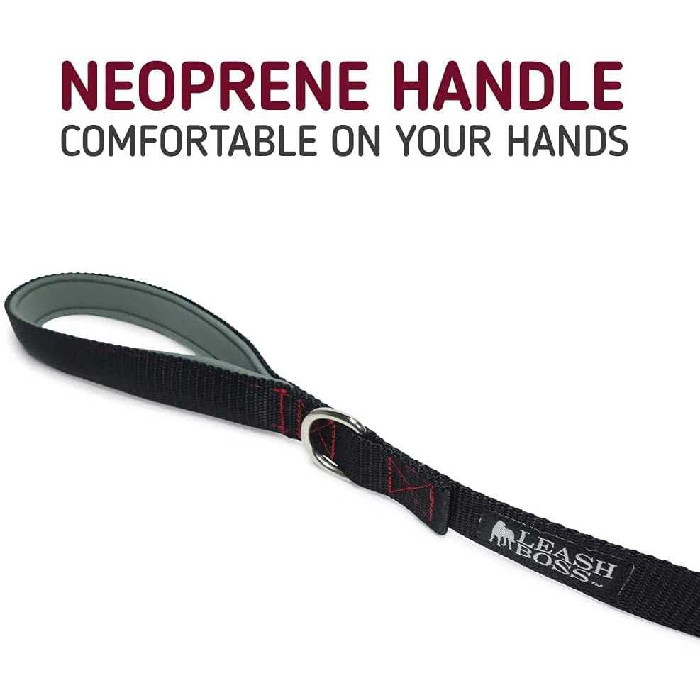 10 Foot Dog Leash with Padded Handle X28640