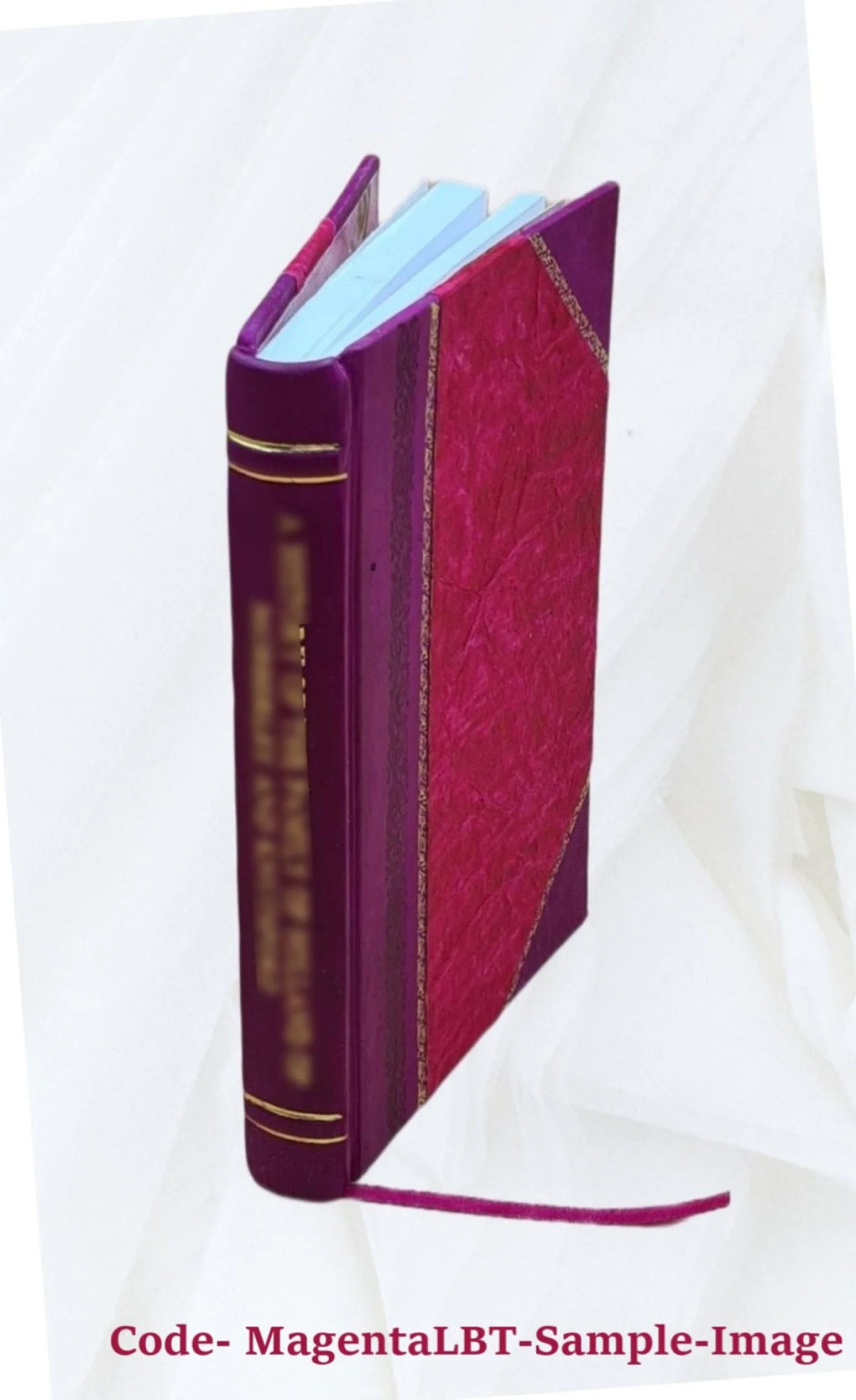 Reminiscences by personal friends of Gen. U.S. Grant and the history of Grant's log cabin 1904 Leather Bound Y9453