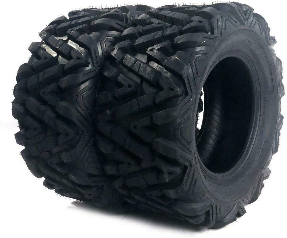 Set of 2 25x10-12 ATV UTV Tires All-Terrain 6 Ply Tubeless M650956