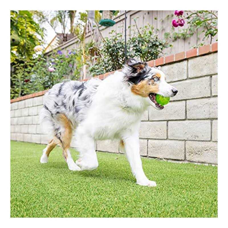 Dog Toy Ball Z581662