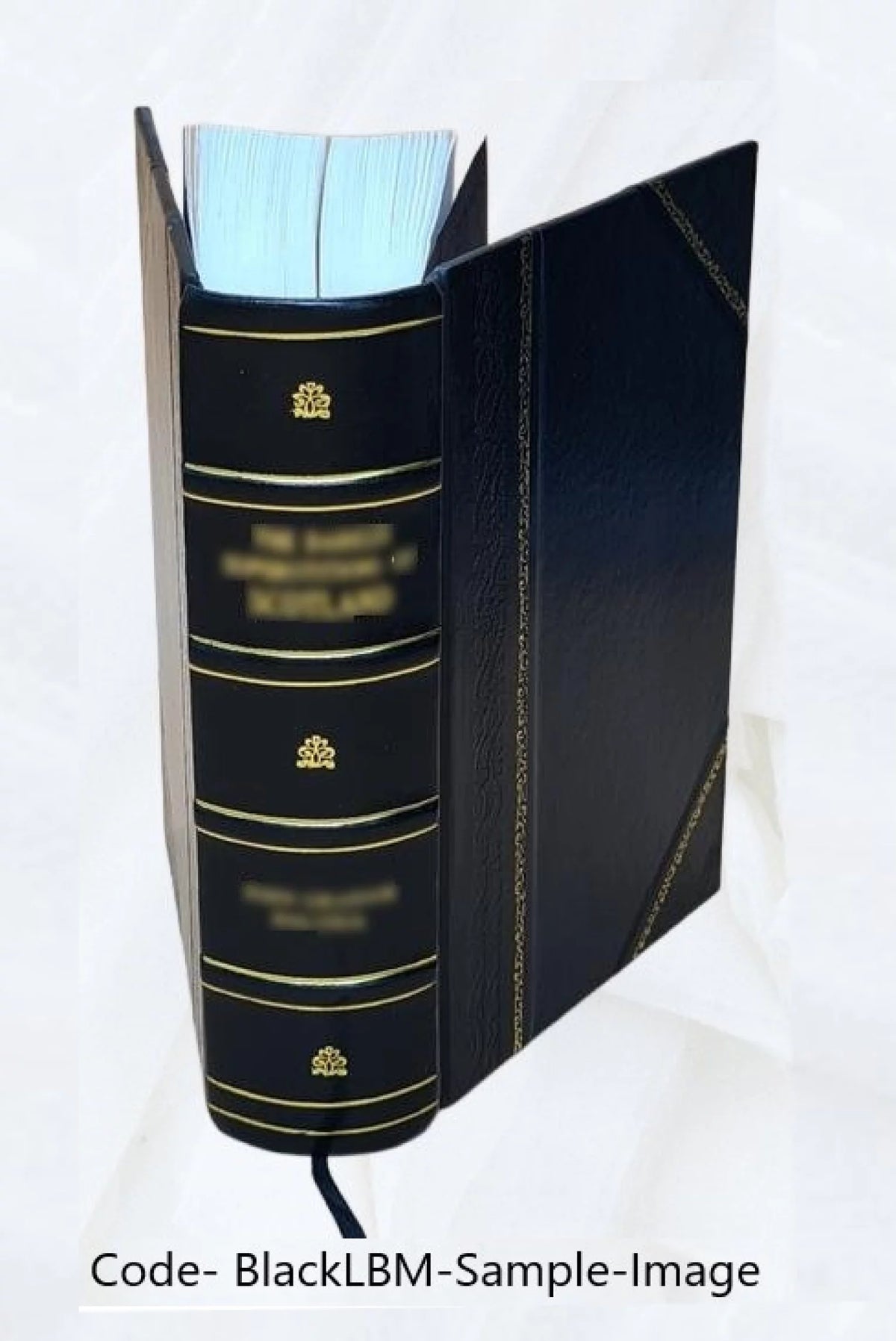 Jewels of the Bible N35276