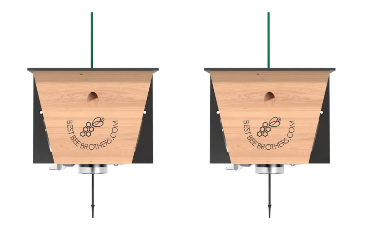 Carpenter Bee Trap 2 pack L377907