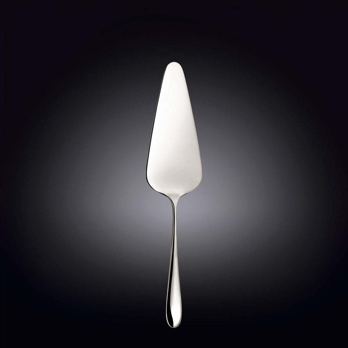 Stainless Steel Set of 24 Cake Server S691
