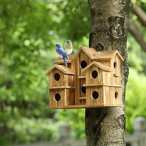 10 Hole Large Bird House E360702