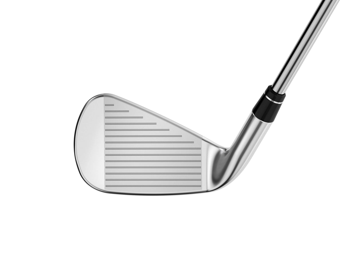 21 Iron Set 6-PW Steel Stiff Z783047