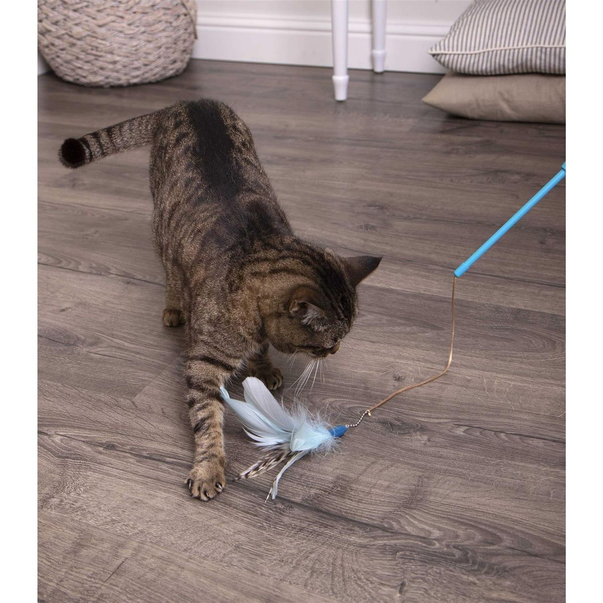 Cat Toy E88551