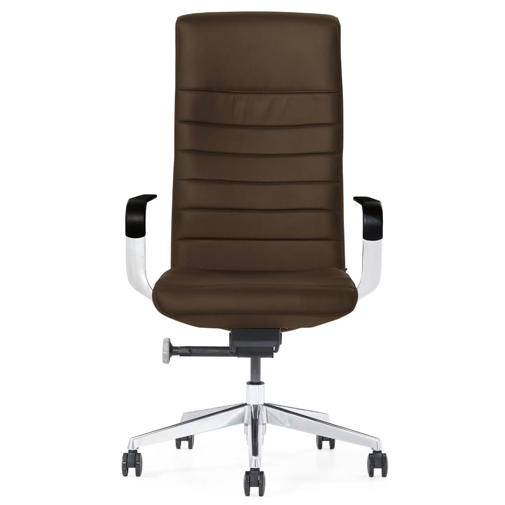 Modern Dark Brown Leather Executive Chair M7101