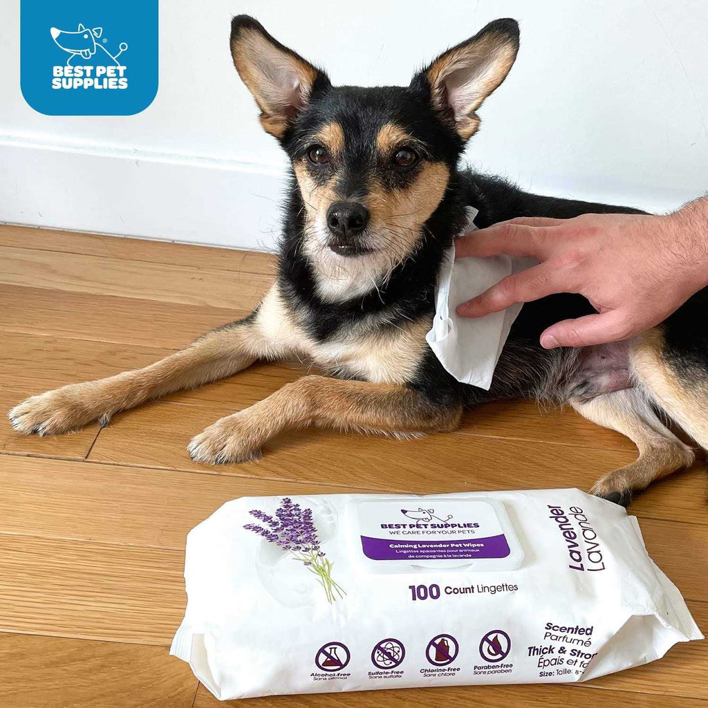 Pet Grooming Wipes for Dogs & Cats, 400 Pack A24131