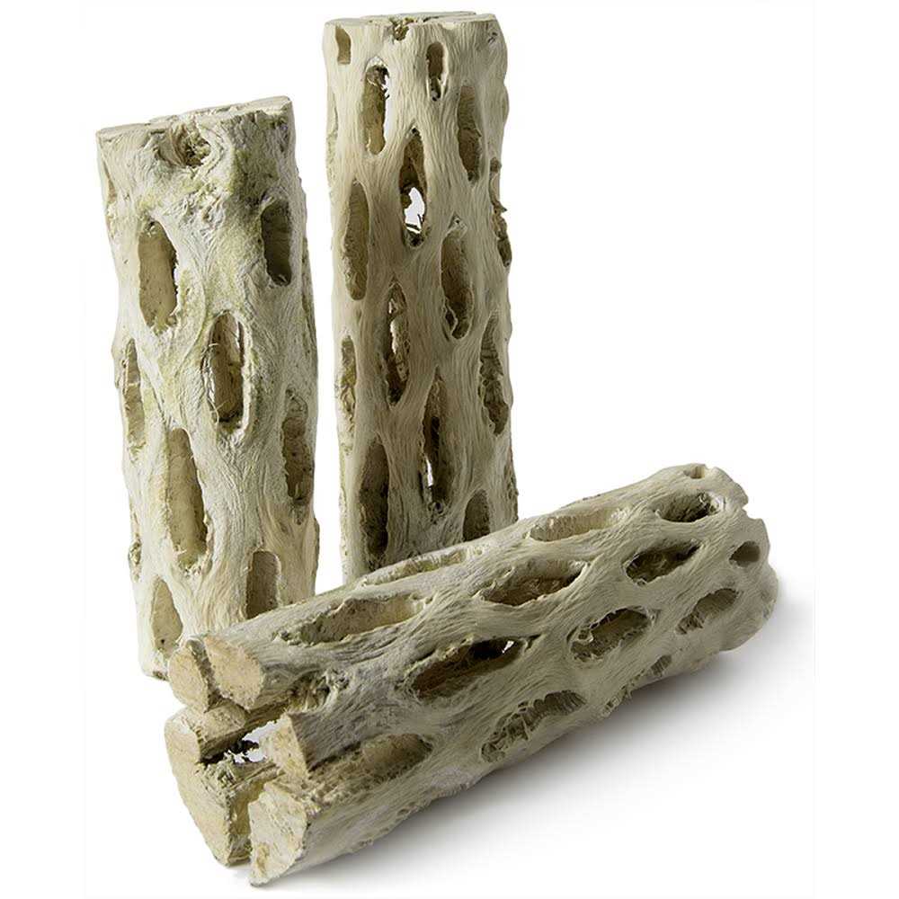 Cholla Wood E5921