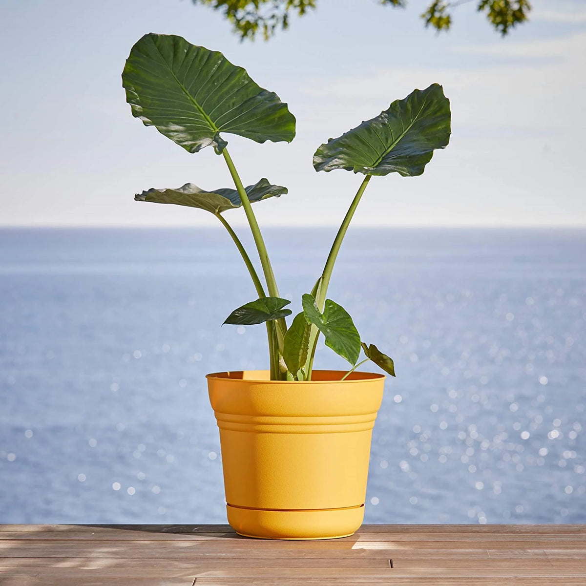 Plastic Pot Planter E3027