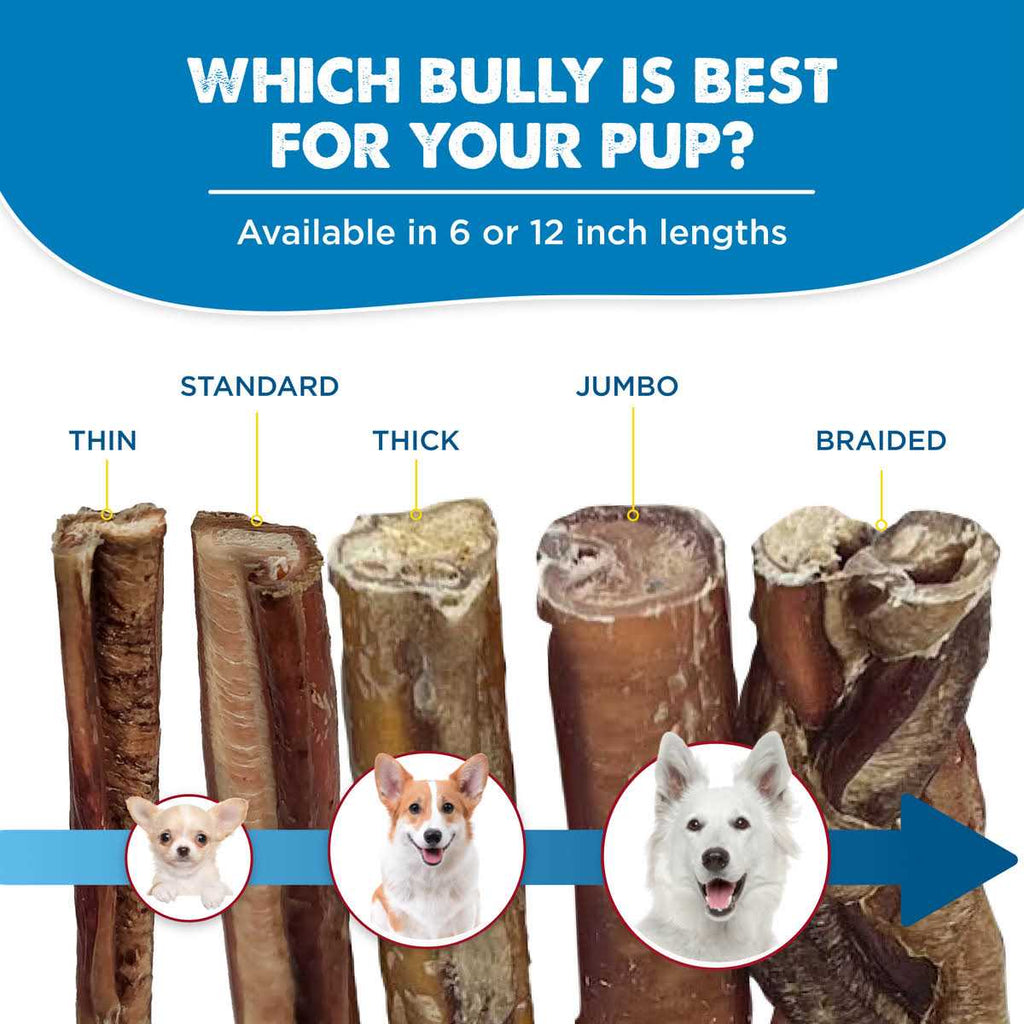 All-Natural Bully Sticks for Dogs F89248