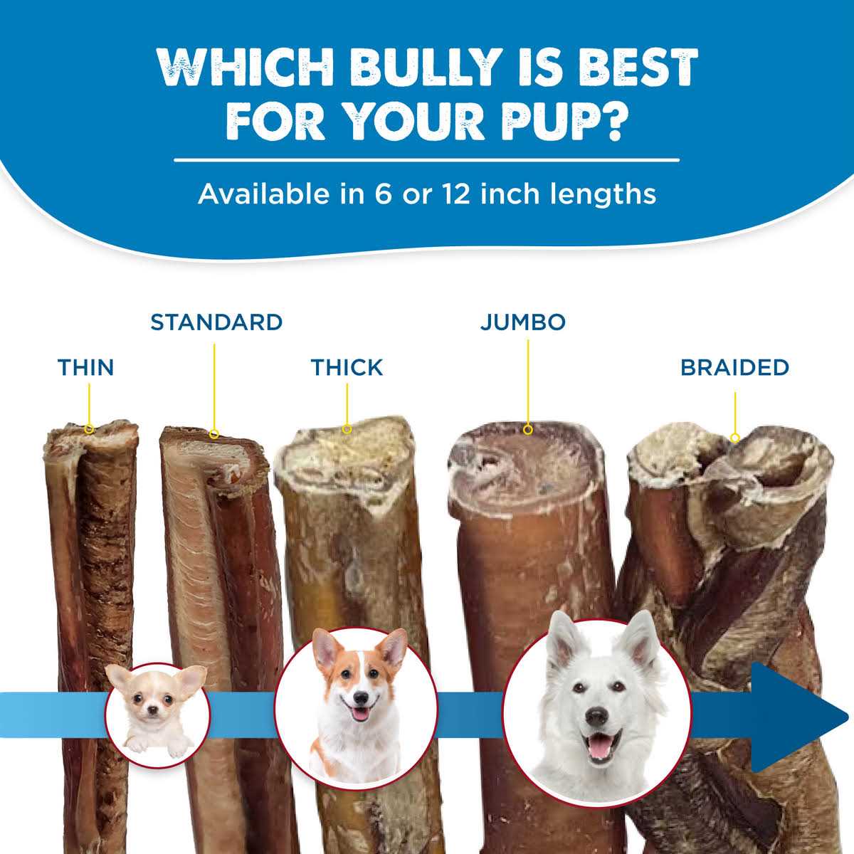 All-Natural Bully Sticks for Dogs F89248