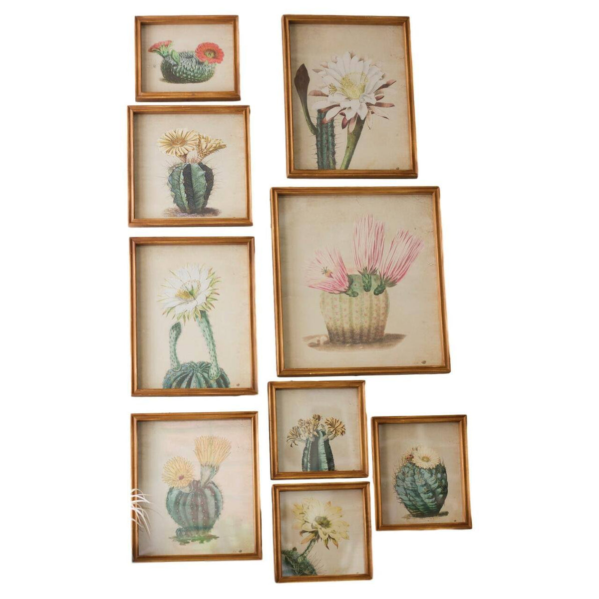 Green Cactus Prints Set of Nine N982