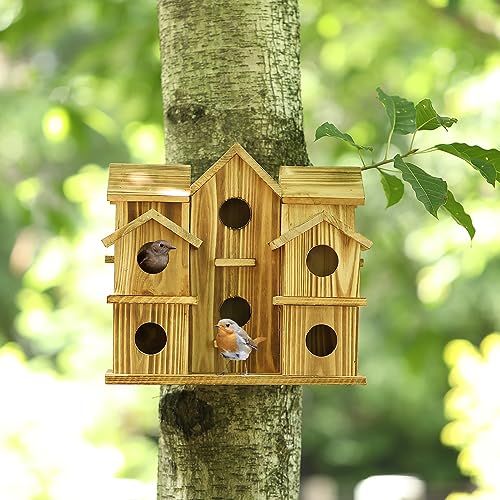 10 Hole Large Bird House E360702