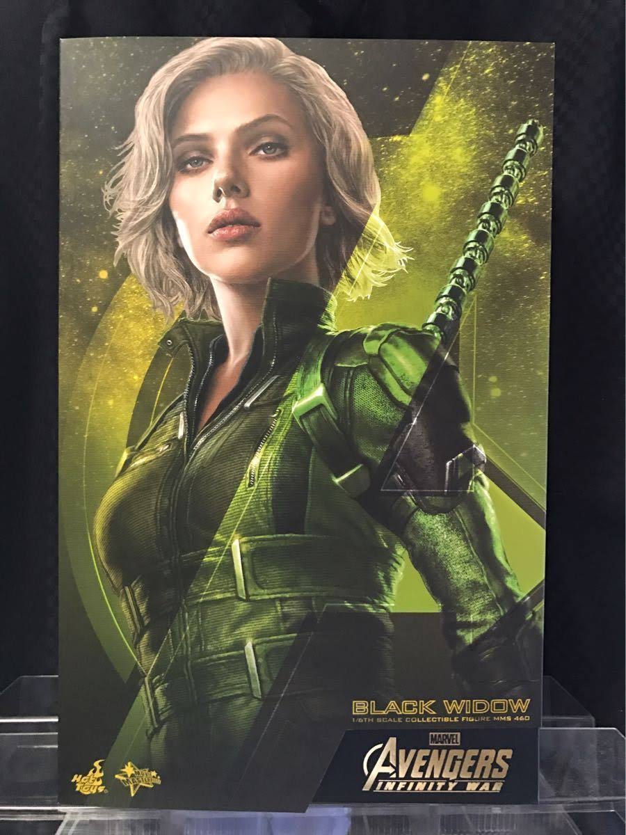 1/6 Scale Figure Z60284