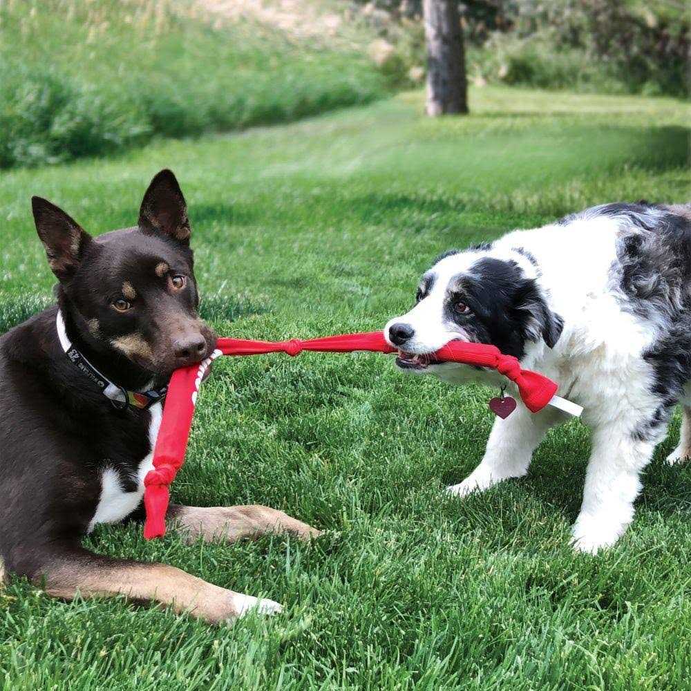 Crunch Rope Dog Toy T7278