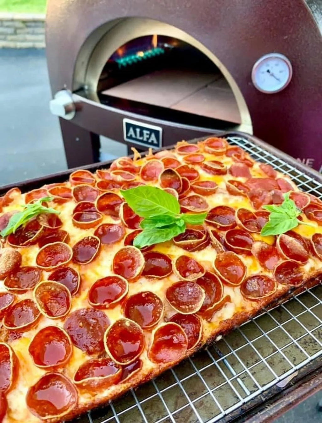 Nano Gas or Wood Fire Hybrid Pizza Oven G84409