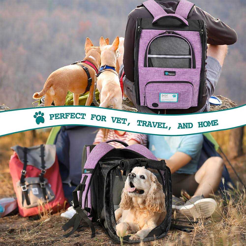 Expandable Pet Carrier Backpack E958627