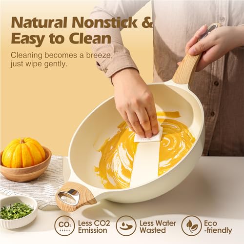 12 Inch Nonstick Deep Frying Pan with Lid Q2934