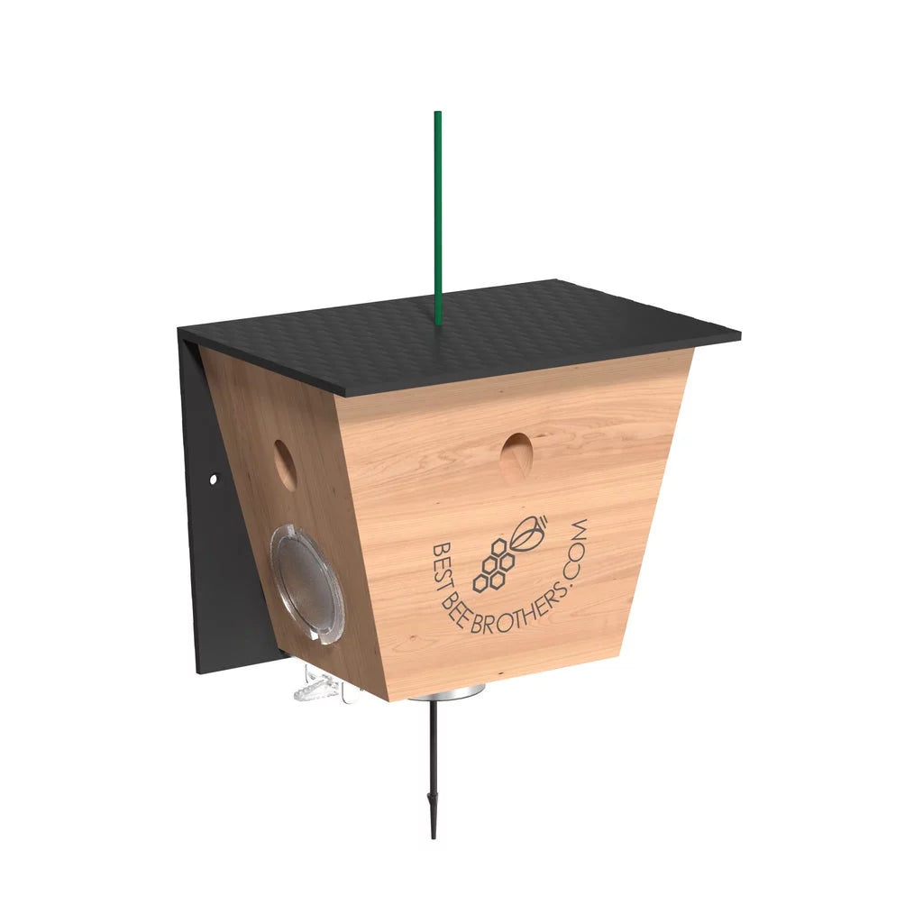 Carpenter Bee Trap 2 pack L377907