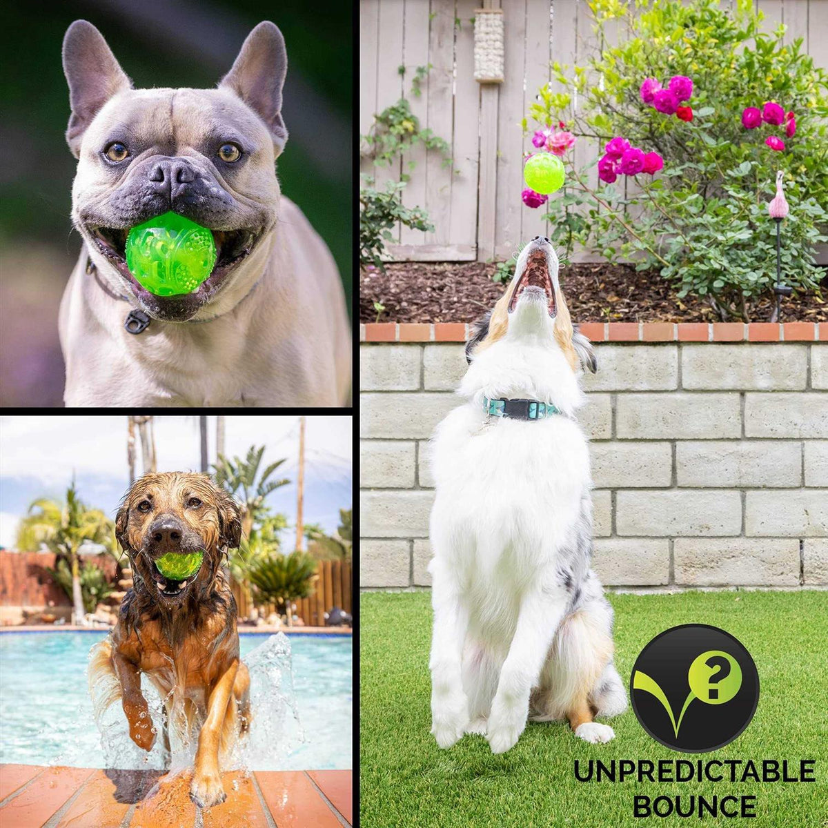Dog Toy Ball Z581662
