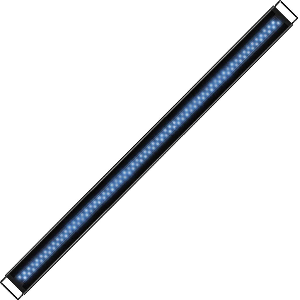 LED Light X163975