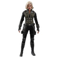 1/6 Scale Figure Z60284