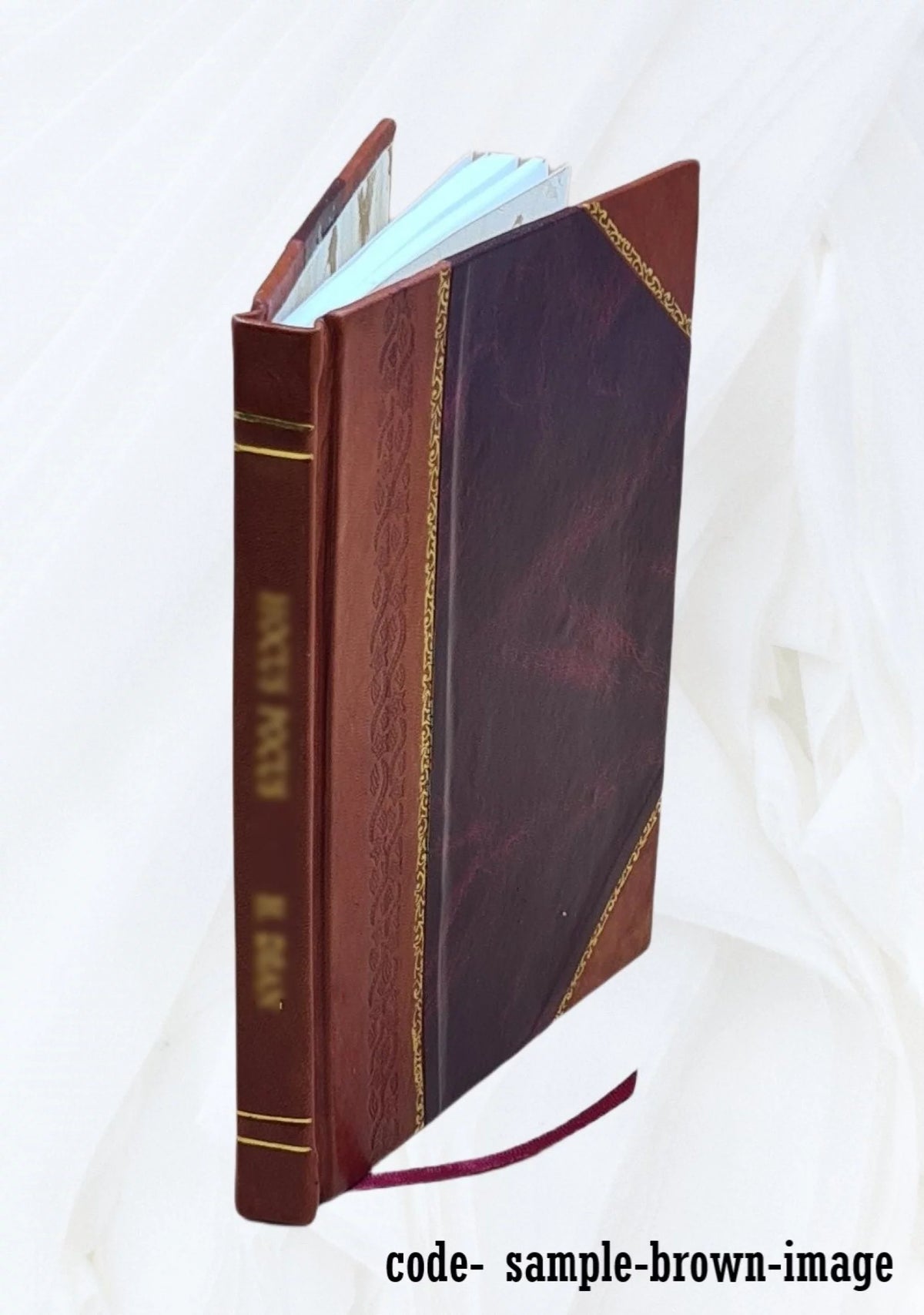 De l'amour de nostre seigneur JesusChrist et des moyens de l'acquerir Leather Bound U4671