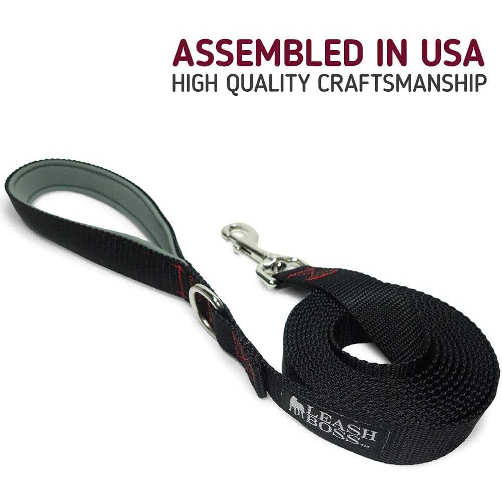 10 Foot Dog Leash with Padded Handle X28640