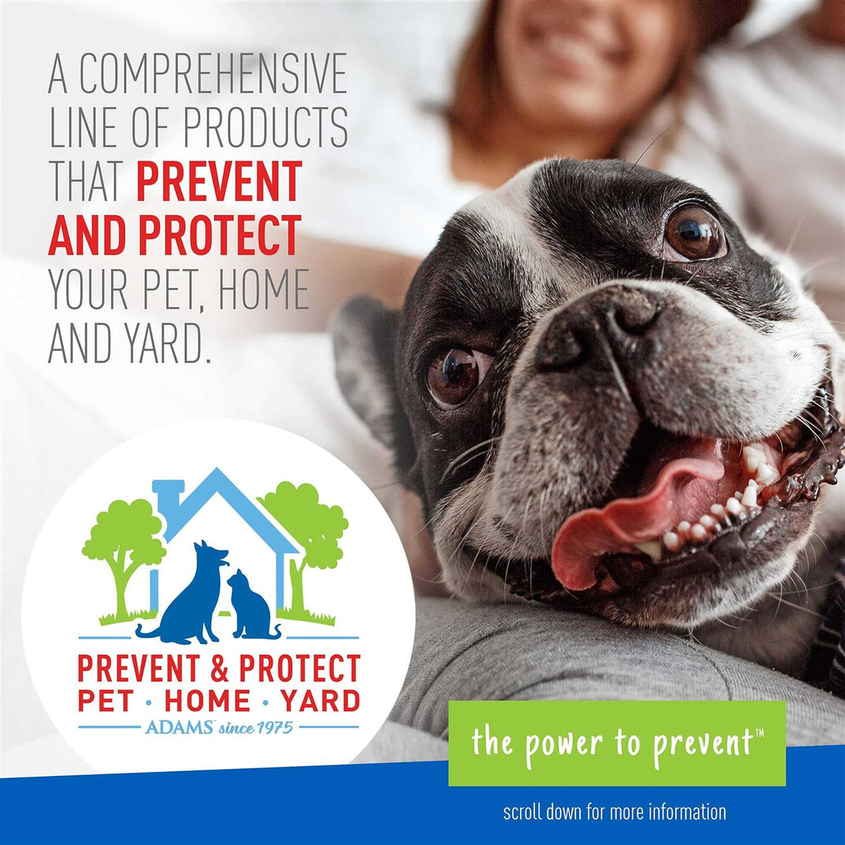 Flea Tick Shampoo K6074