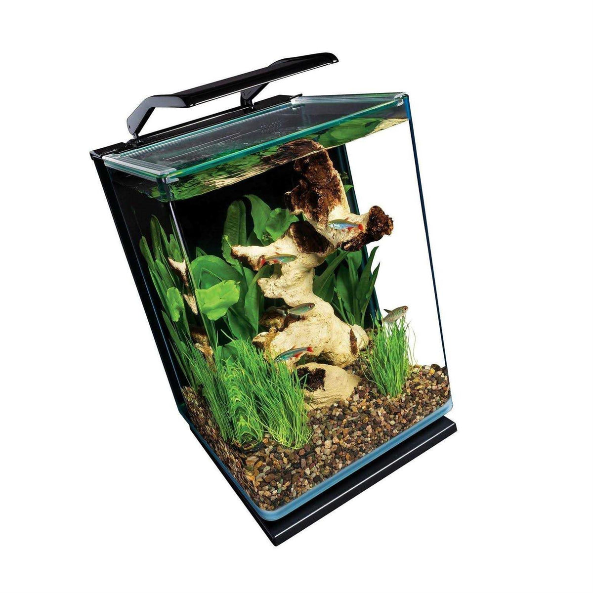 Pet Supplies Q1718