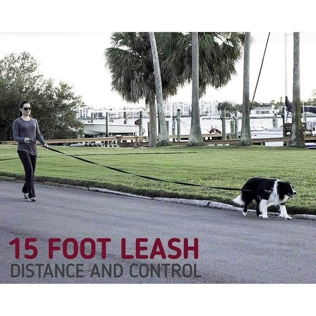 10 Foot Dog Leash with Padded Handle X28640