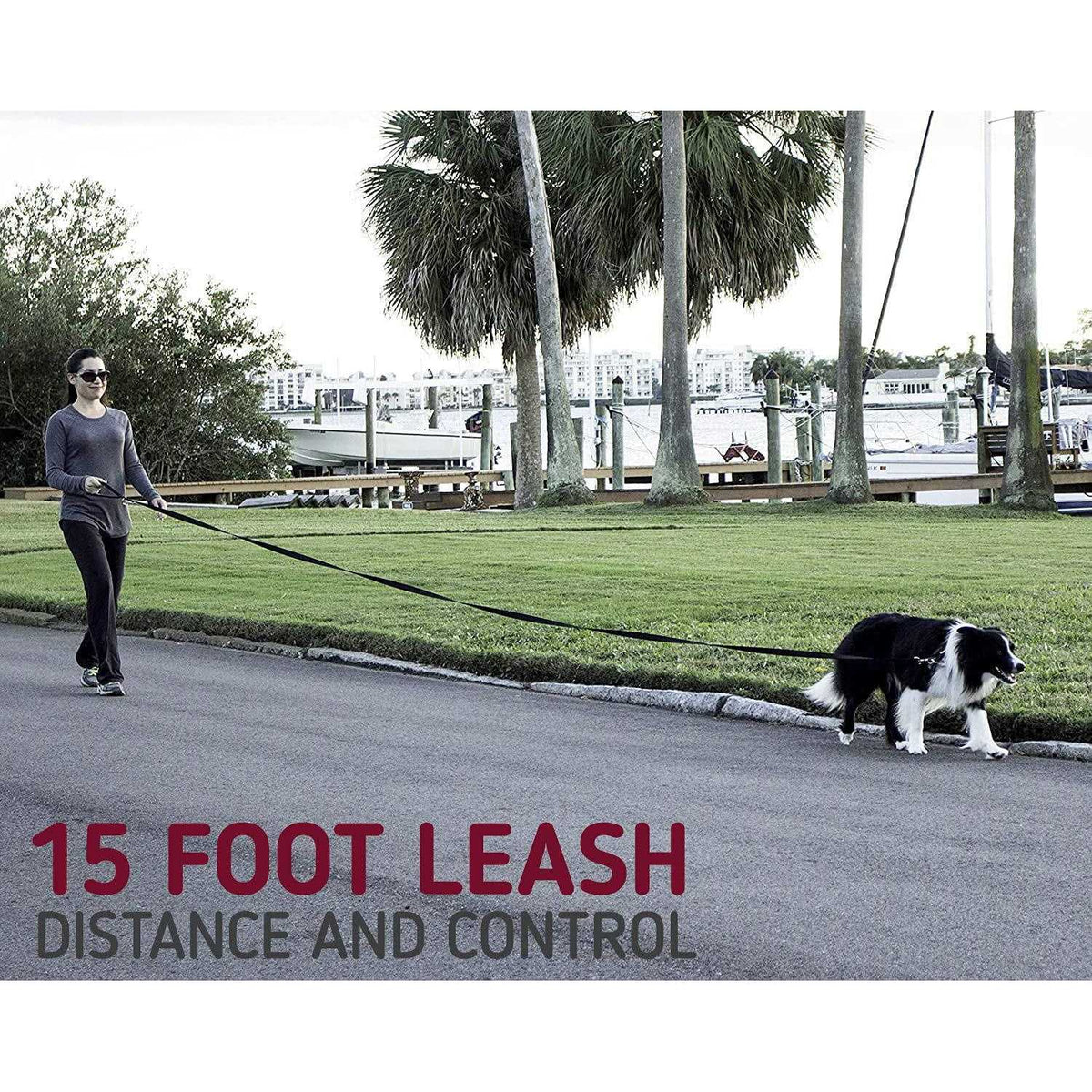 10 Foot Dog Leash with Padded Handle X28640