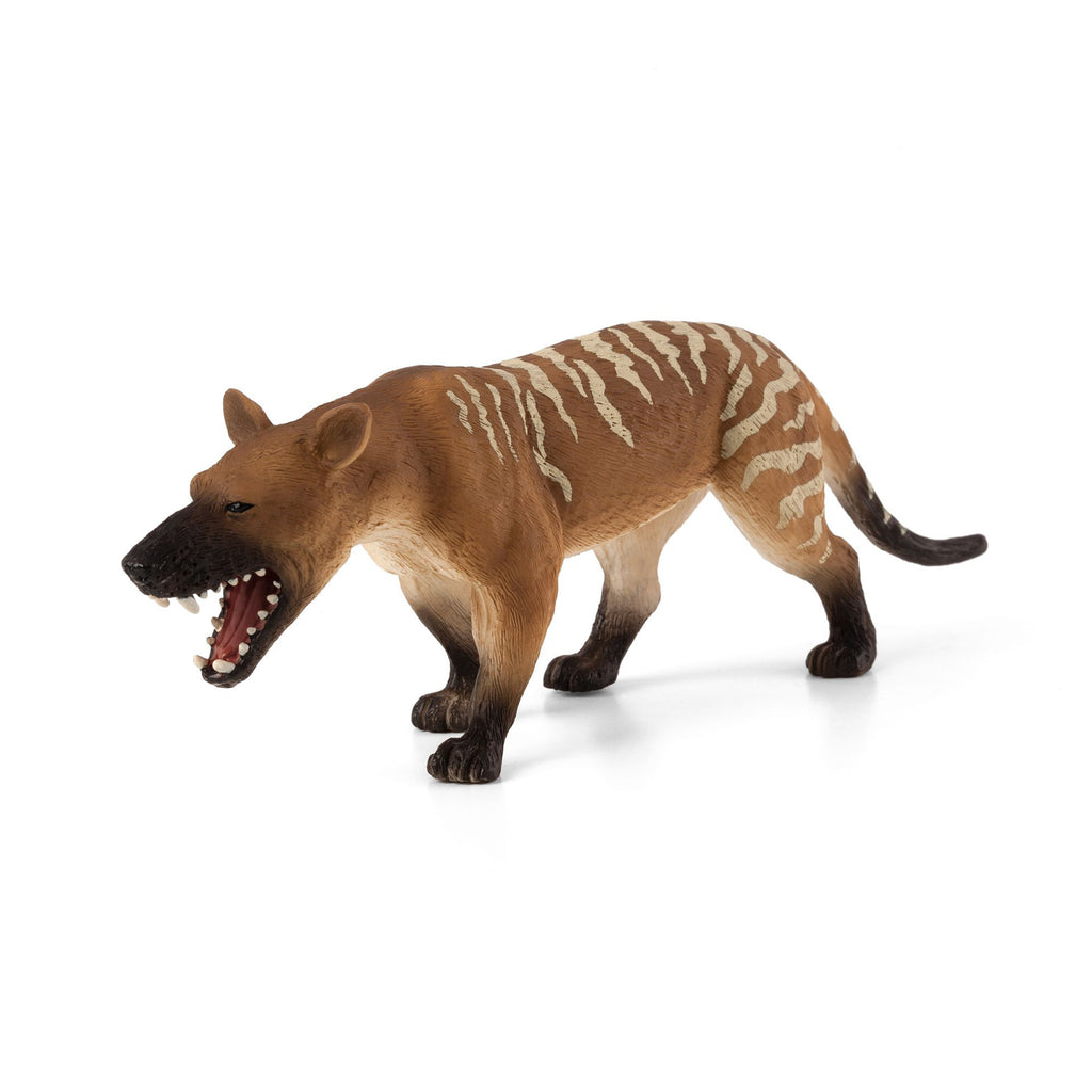 Hyaenodon Gigas Prehistoric Figurine V6801
