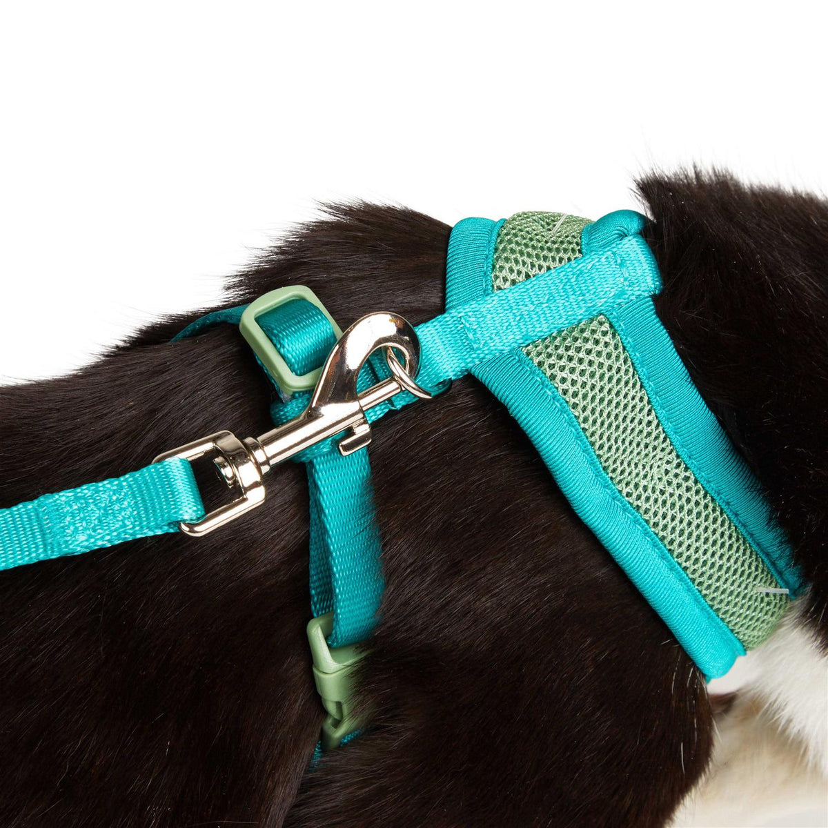 Green Cat Harness H30865