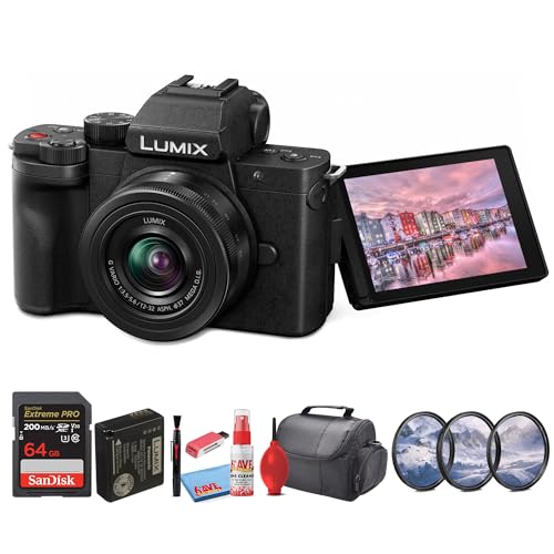 Panasonic Lumix G100 4K Mirrorless Camera with 12-32mm Lens J743236