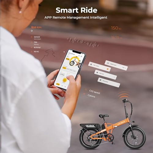 Foldable Fat Tire Electric Bike with 48V 12.5Ah Removable Battery C177304